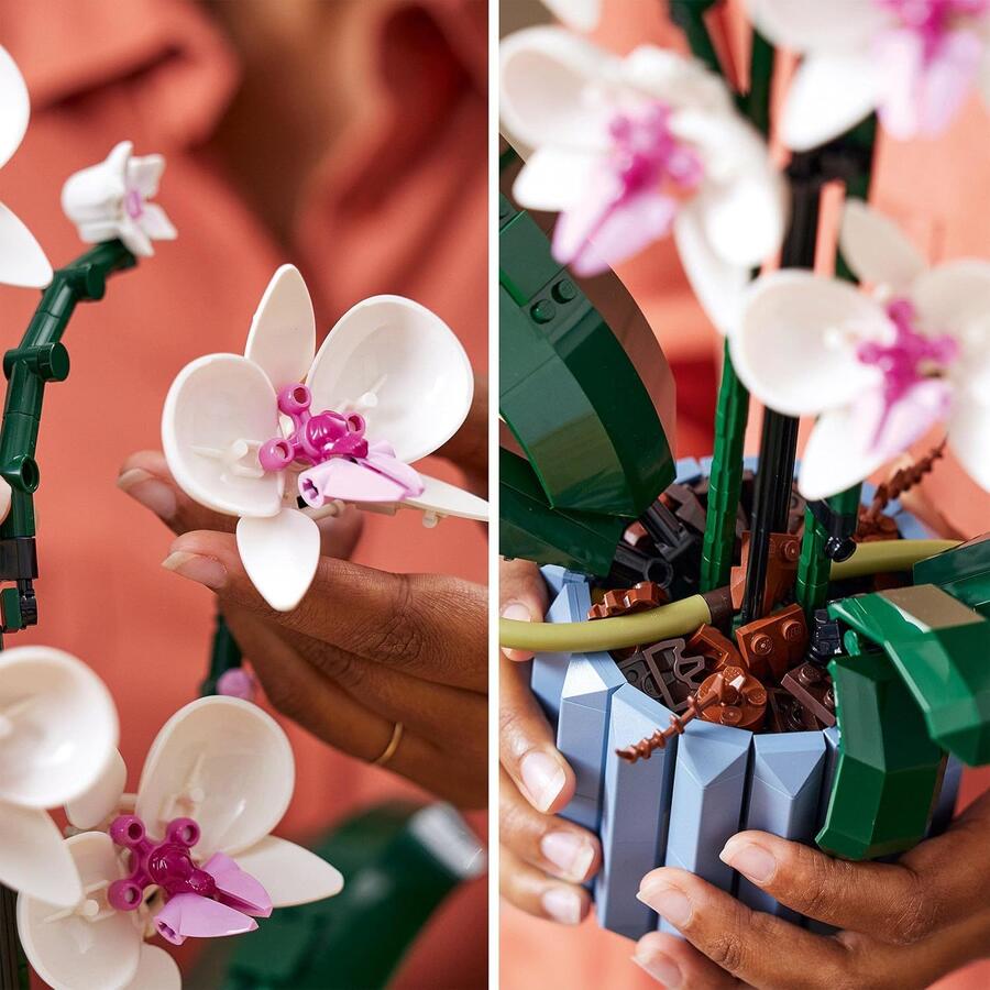 LEGO Botanicals Orchidea - Pianta Artificiale da Costruire per Adulti - Fiori Finti e Vaso da Interno per Decorazione di Casa o dell'Ufficio - Idee Regalo per Donna o Uomo da Collezione - 10311 SCATOLA LEGGERMENTE DANNEGGIATA