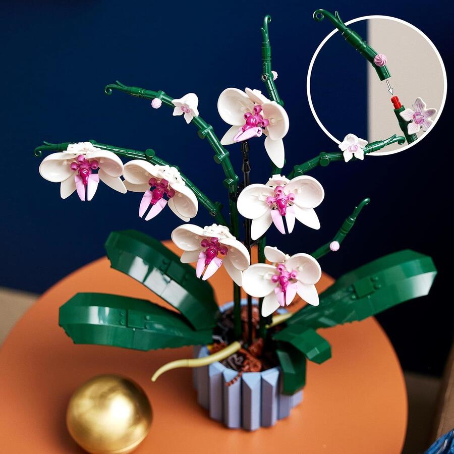 LEGO Botanicals Orchidea - Pianta Artificiale da Costruire per Adulti - Fiori Finti e Vaso da Interno per Decorazione di Casa o dell'Ufficio - Idee Regalo per Donna o Uomo da Collezione - 10311 SCATOLA LEGGERMENTE DANNEGGIATA