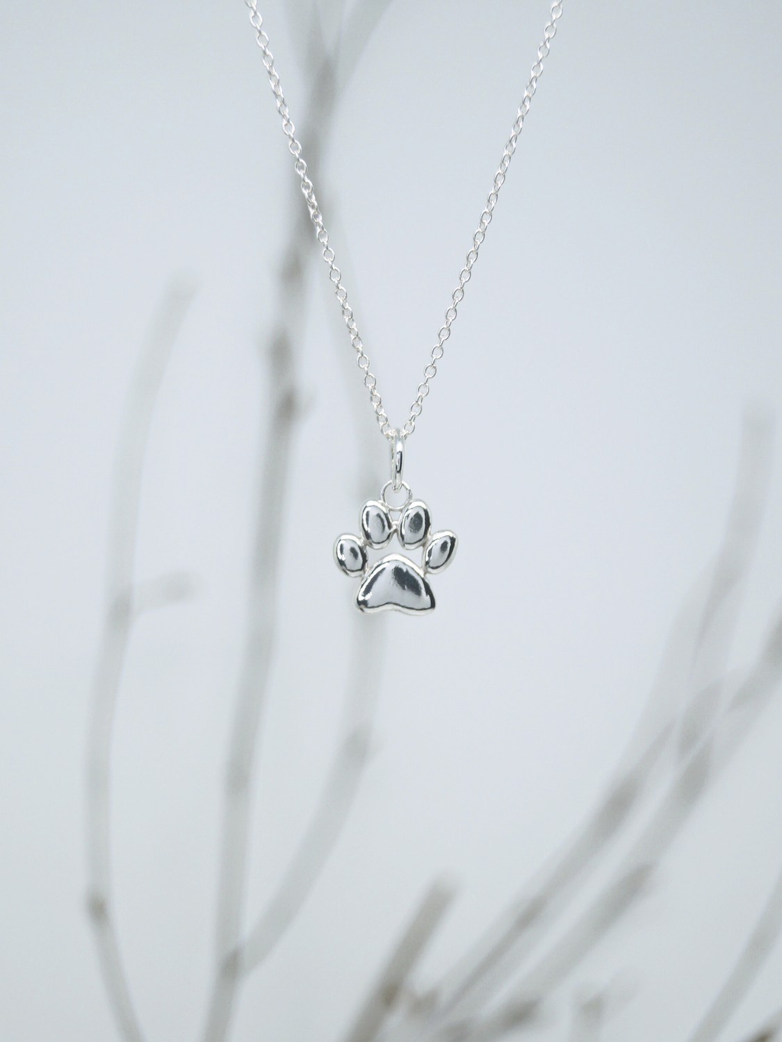 Zampetta Soffice, ciondolo