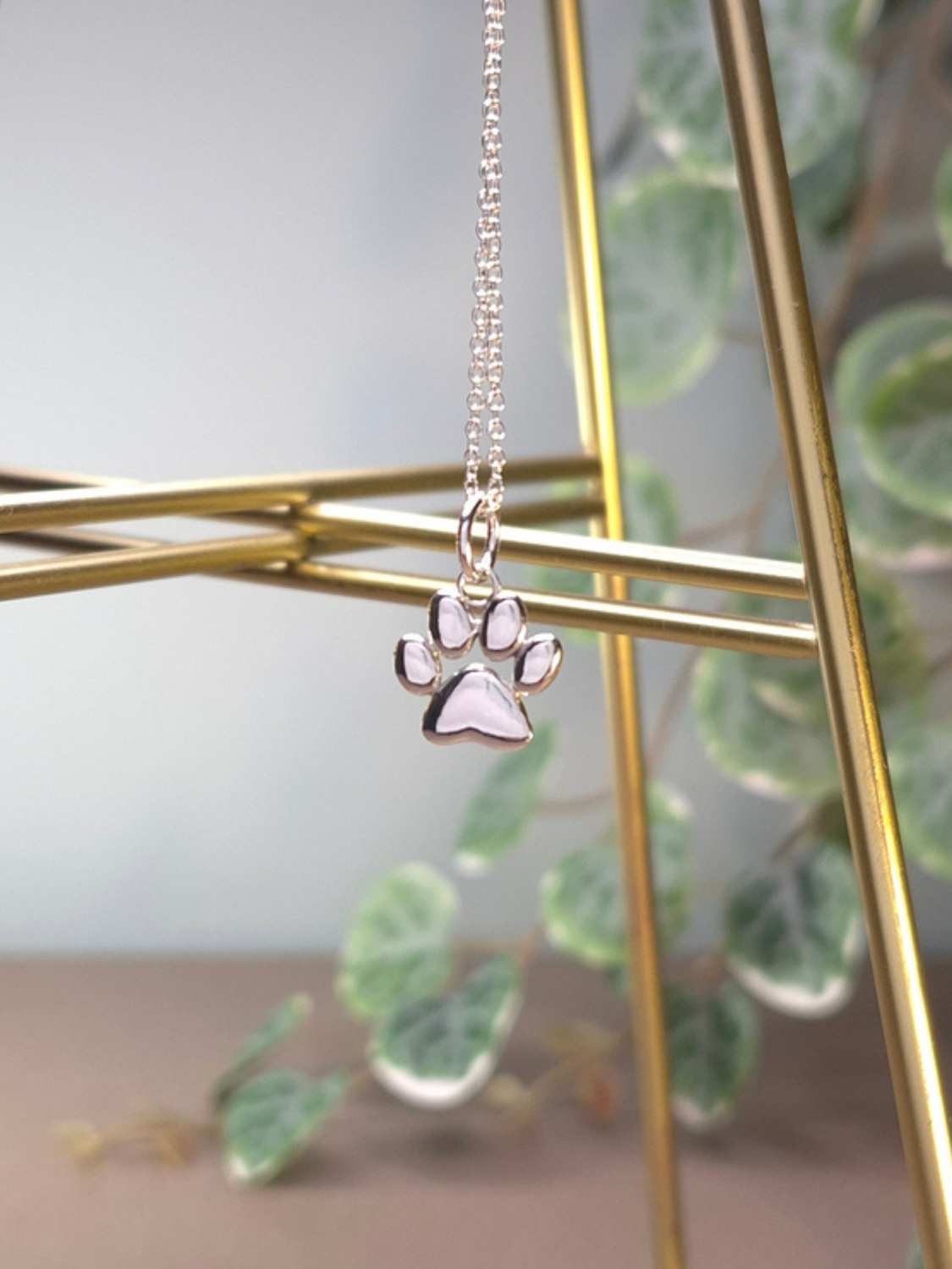 Zampetta Soffice, ciondolo