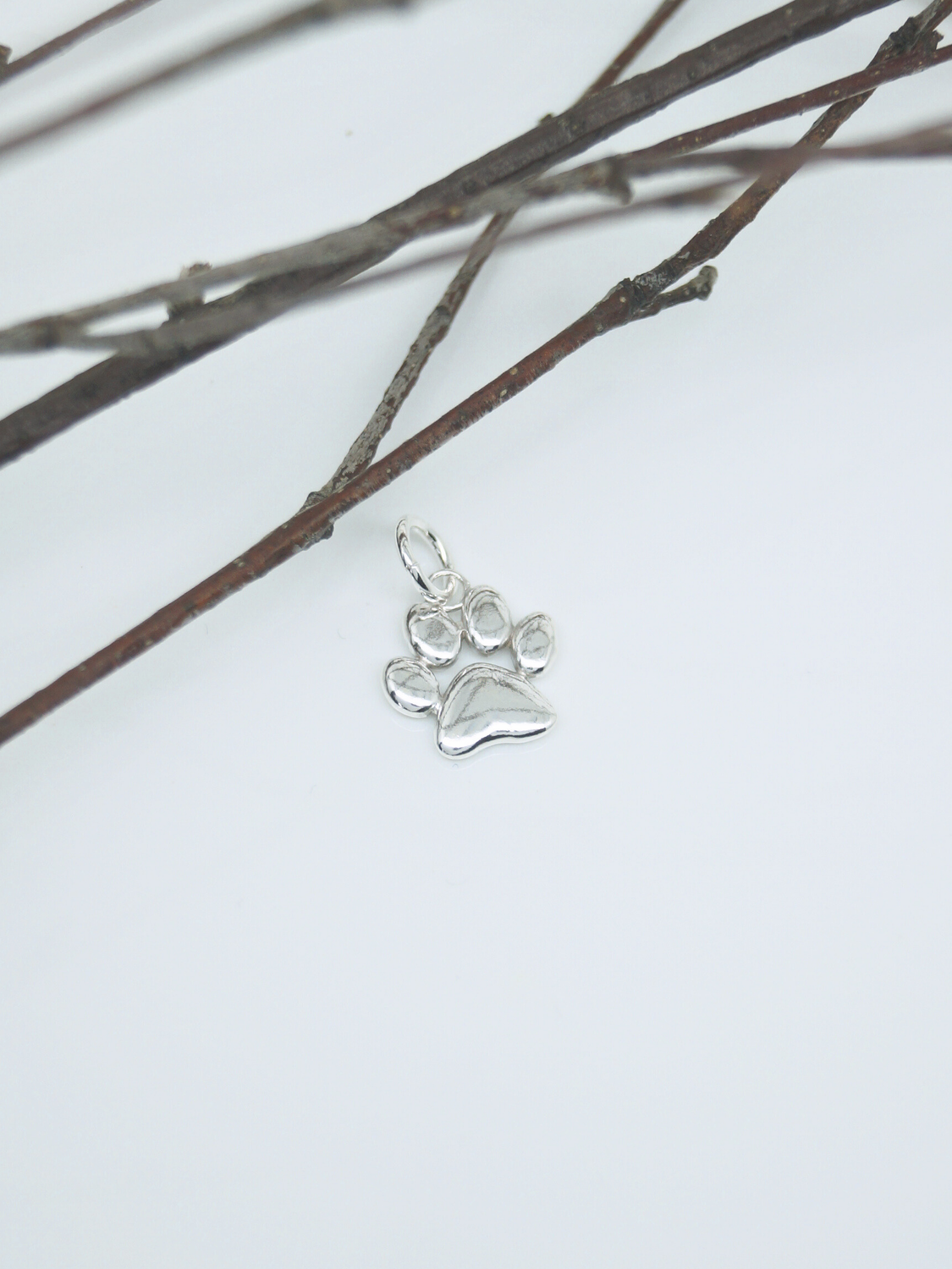 Zampetta Soffice, ciondolo