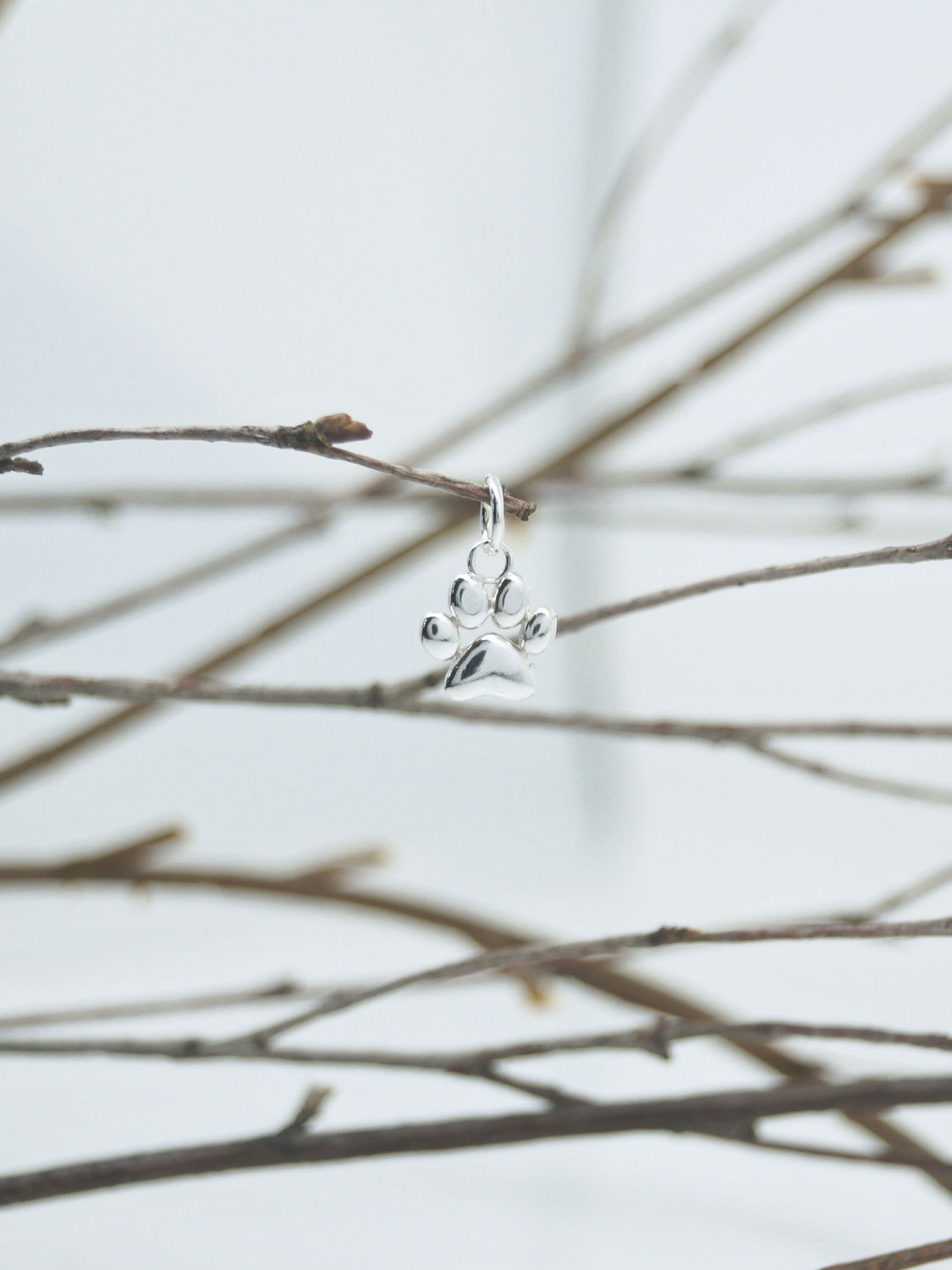 Zampetta Soffice, ciondolo