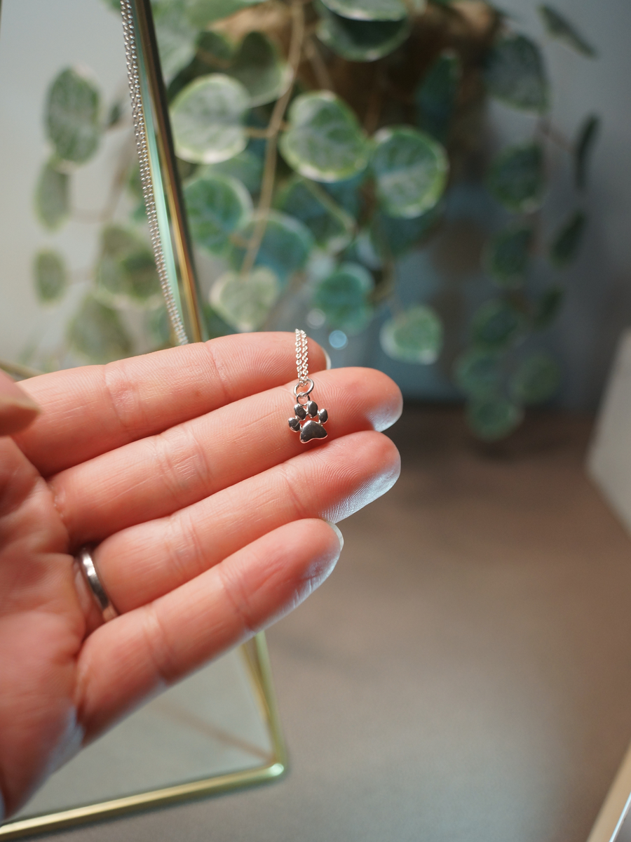 Zampetta Soffice, ciondolo