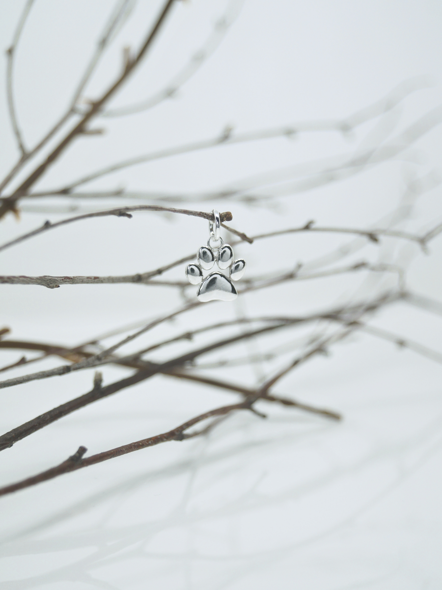 Zampetta Soffice, ciondolo