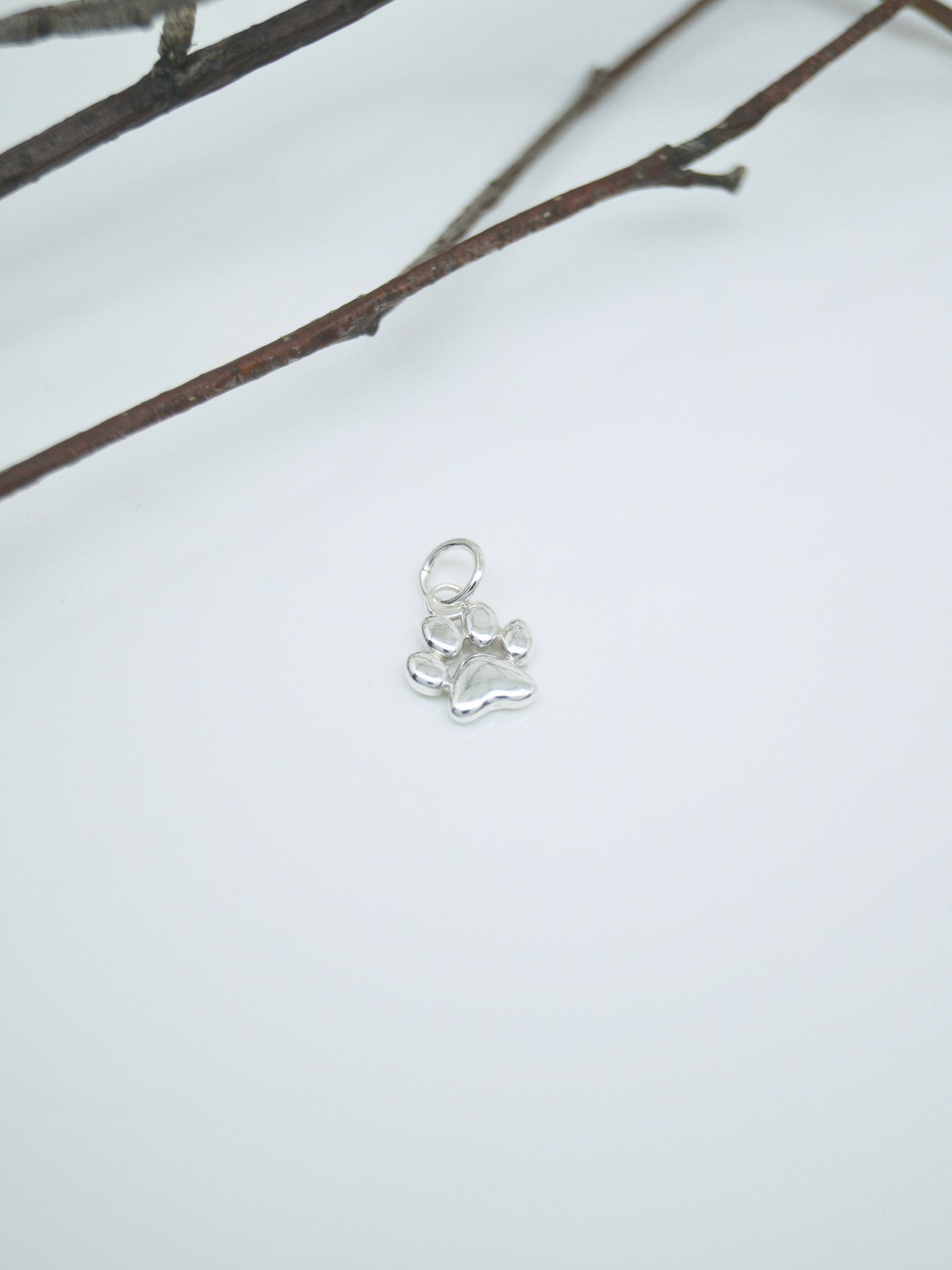 Zampetta Soffice, ciondolo