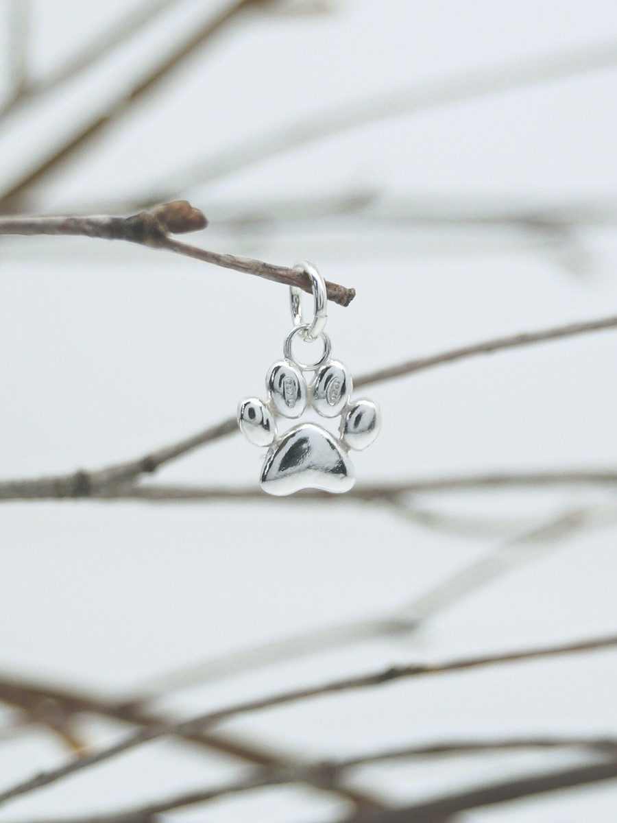 Zampetta Soffice, ciondolo