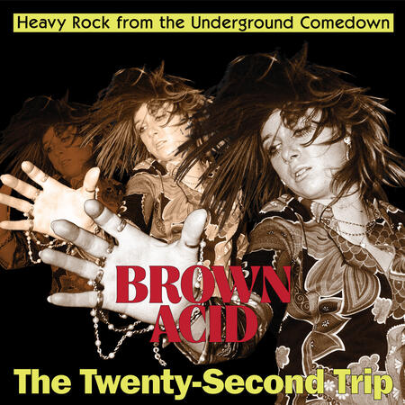 VV.AA. -BROWN ACID THE TWENTY SECOND TRIP -