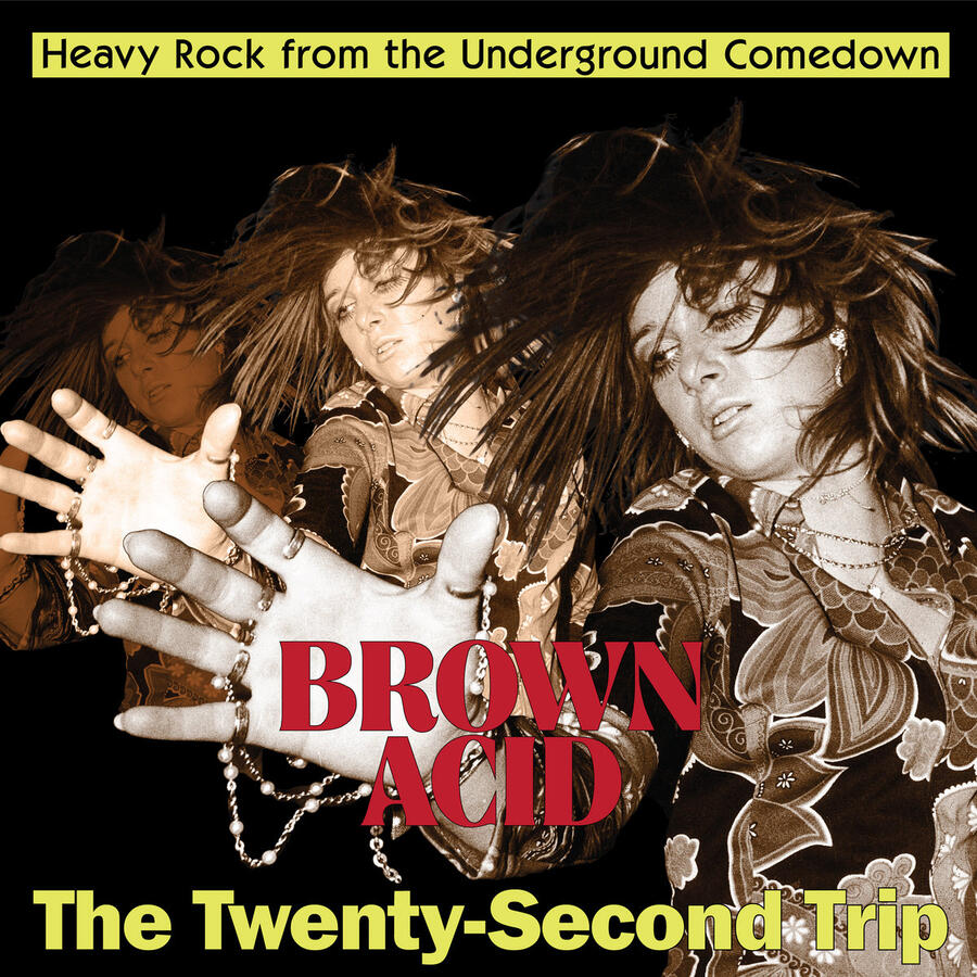 VV.AA. -BROWN ACID THE TWENTY SECOND TRIP -