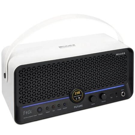 MOOER F40i SNOWFALL W