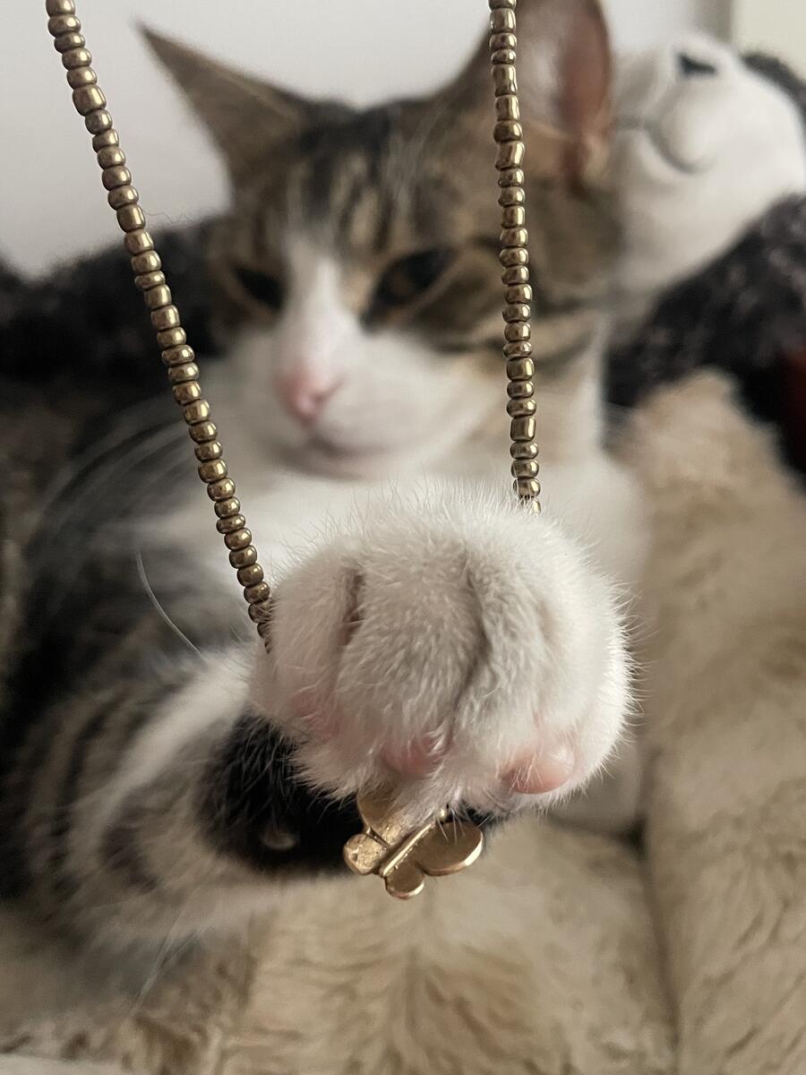 Workshop di Primavera_Perline & Bollicine