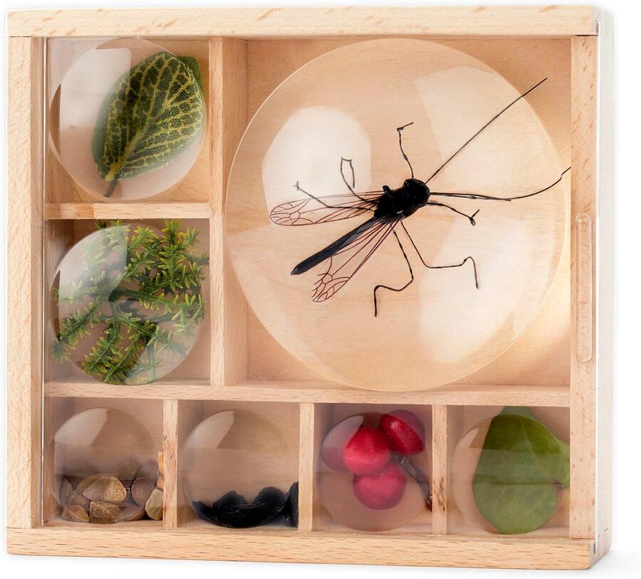 Il mio piccolo museo Huckleberry