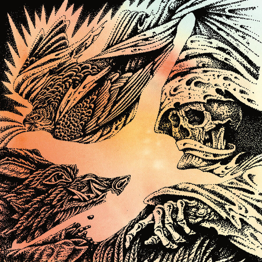 THE HEAVY EYES - FOCUS - 