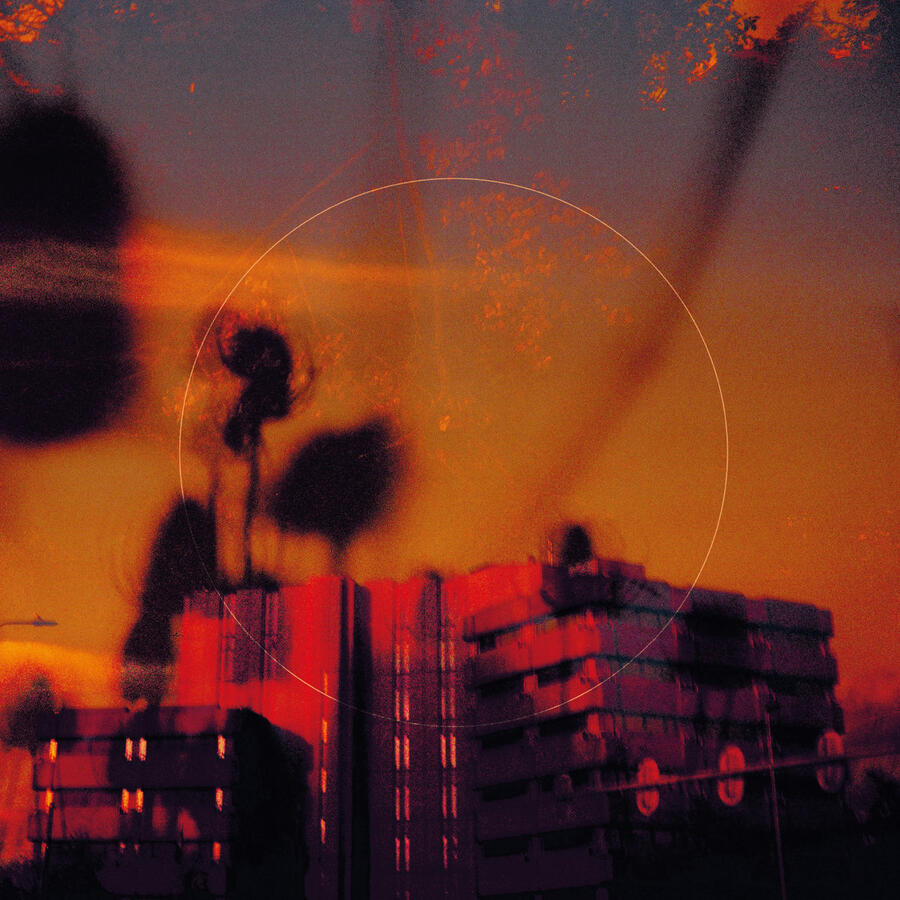 BISMUT - MATSUTAKE - 