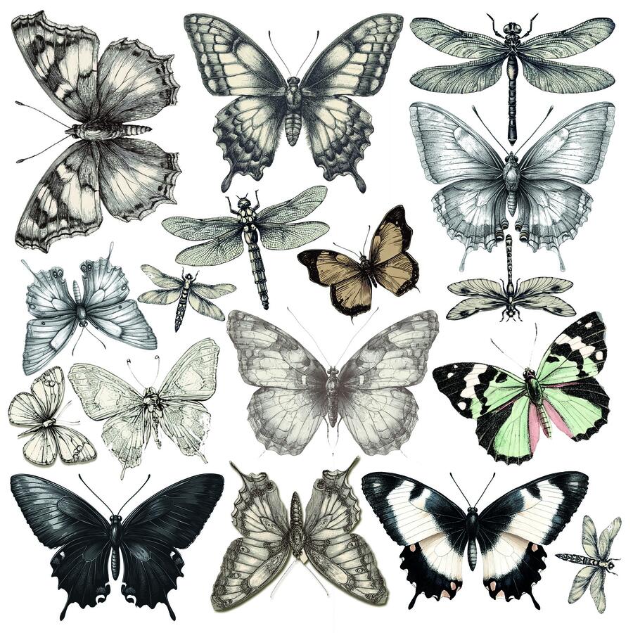 Typographic Fussy Cut pad 15 x 15 cm