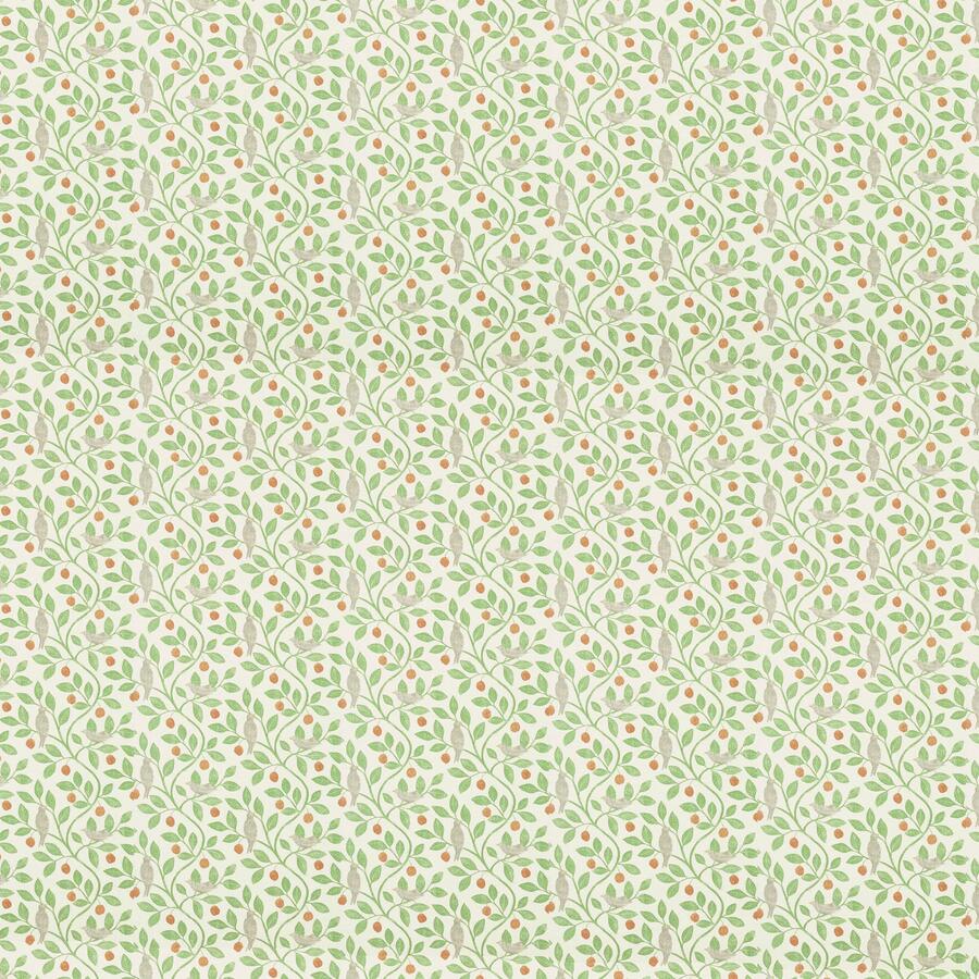 Typographic Fussy Cut pad 15 x 15 cm