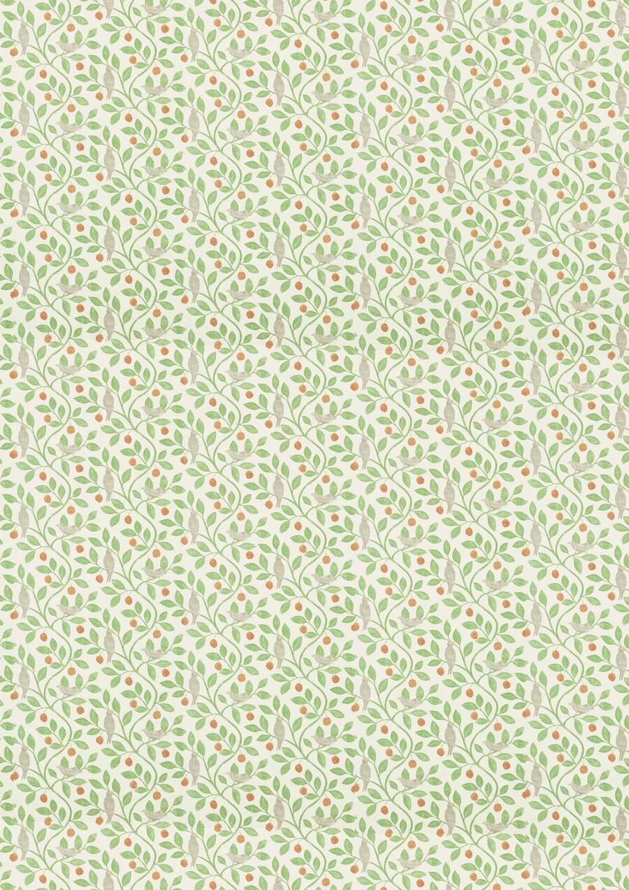 Typographic Creative Pad A4