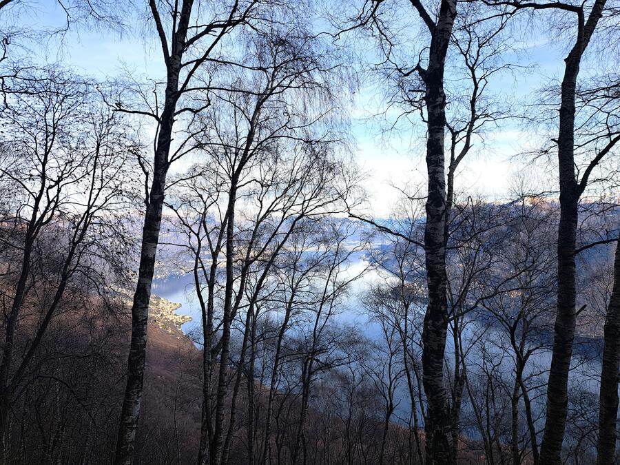 MONTE GIOVE - su richiesta