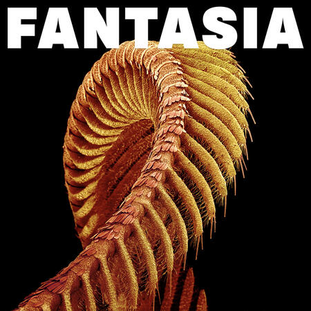 SLIFT - FANTASIA - 
