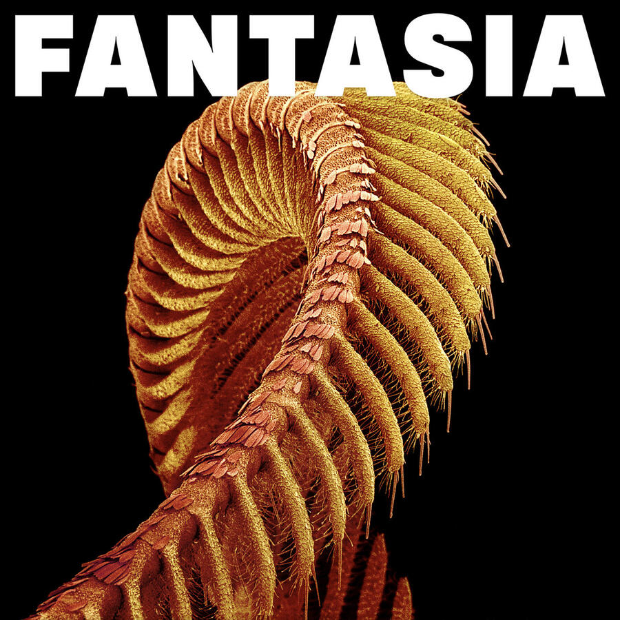 SLIFT - FANTASIA - 