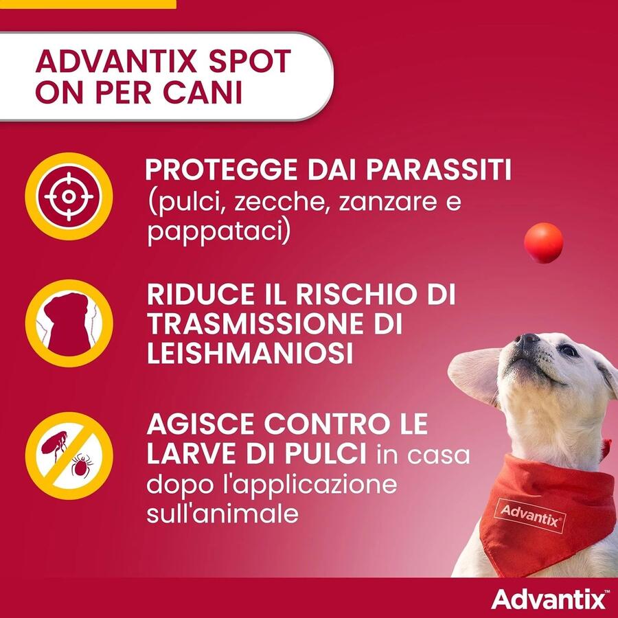 ADVANTIX Spot-On per cani dai 4 ai 10 kg