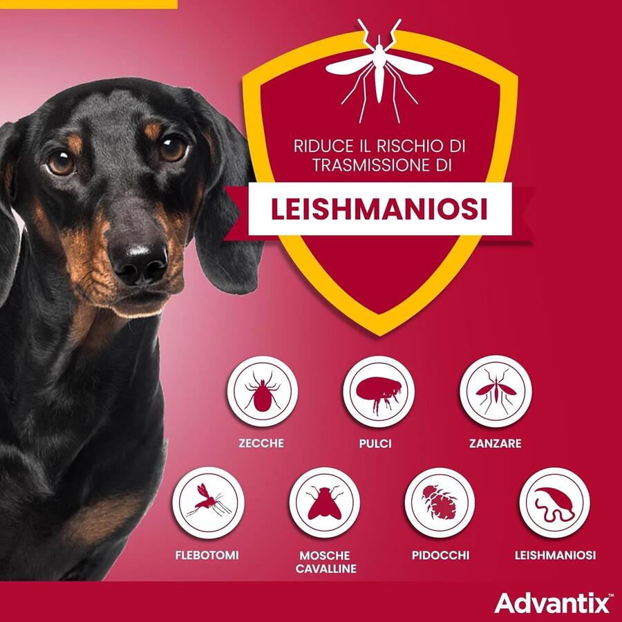 ADVANTIX Spot-On per cani dai 10 ai 25 kg