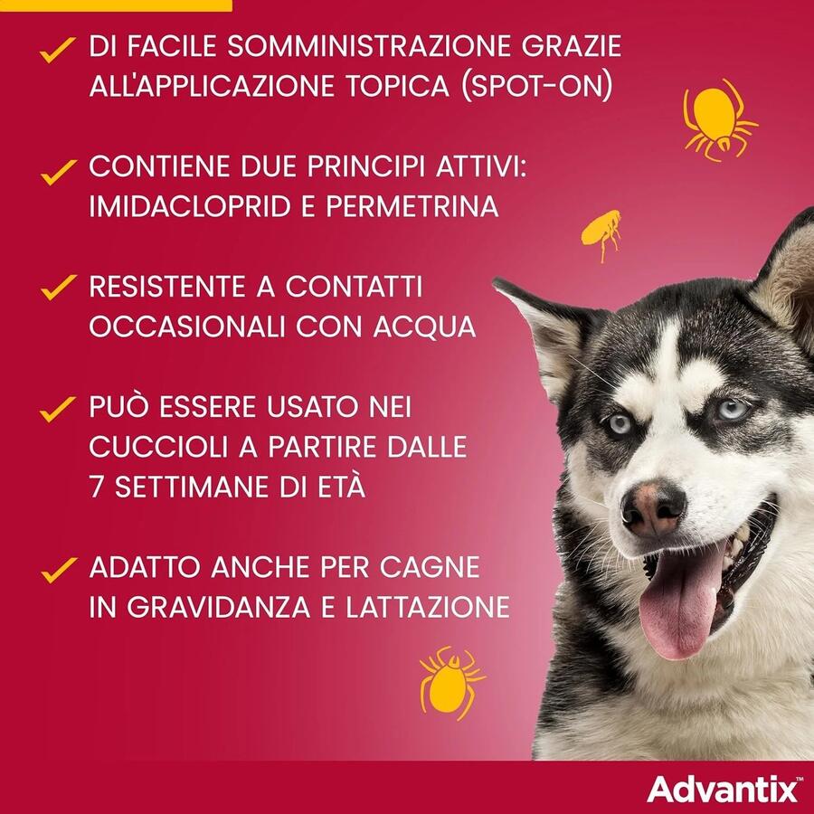 ADVANTIX Spot-On per cani dai 10 ai 25 kg