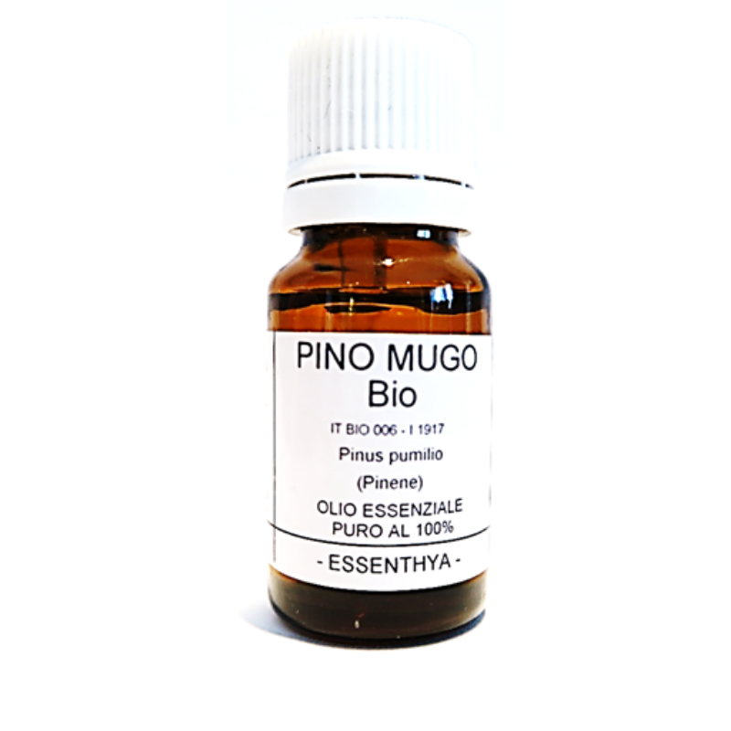 Essenthya - Pino mugo olio essenziale bio