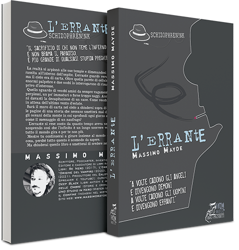 L'errante - di Massimo Mayde