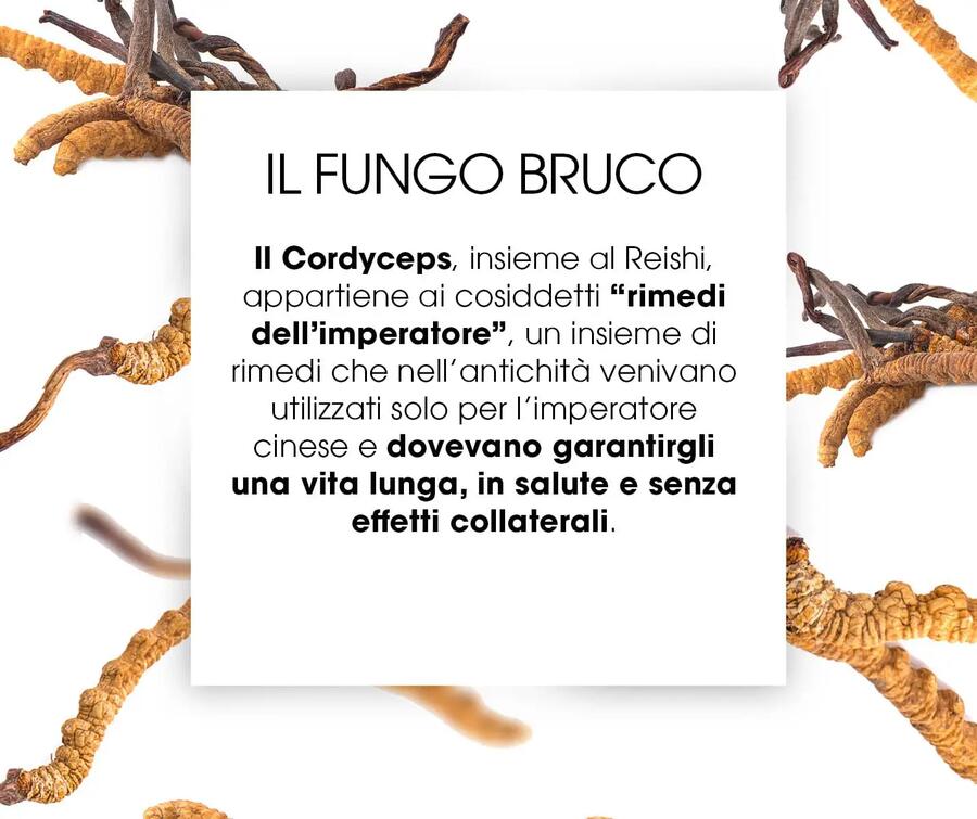 NUTRIVA CORDYCEPS Capsule