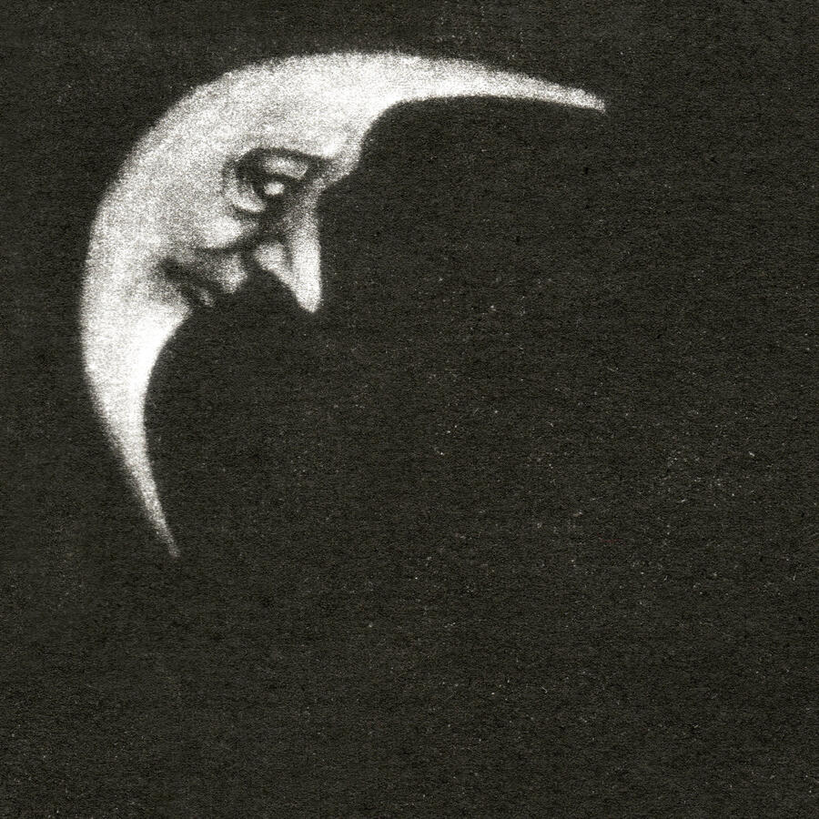 CRIPPLED BLACK PHOENIX - SCEADUHELM -