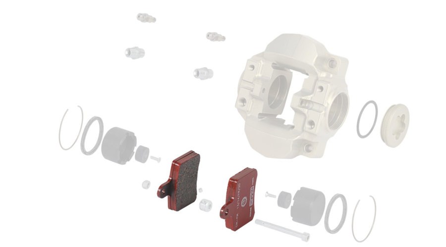 SPINA PASTIGLIA POSTERIORE BSD BSM