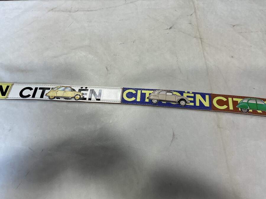 Cintura Citroen Due Cavalli 2