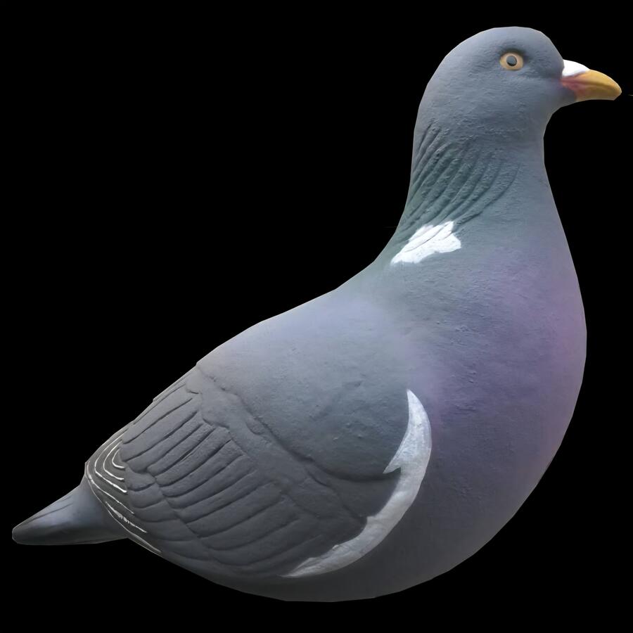 Stampi Colombaccio in HD a Corpo Intero – Set 10 Pezzi (6 Attivi + 4 in Pastura) con Paletti 45 cm, Realistici e Resistenti, prezzo confezione da 10 pezzi