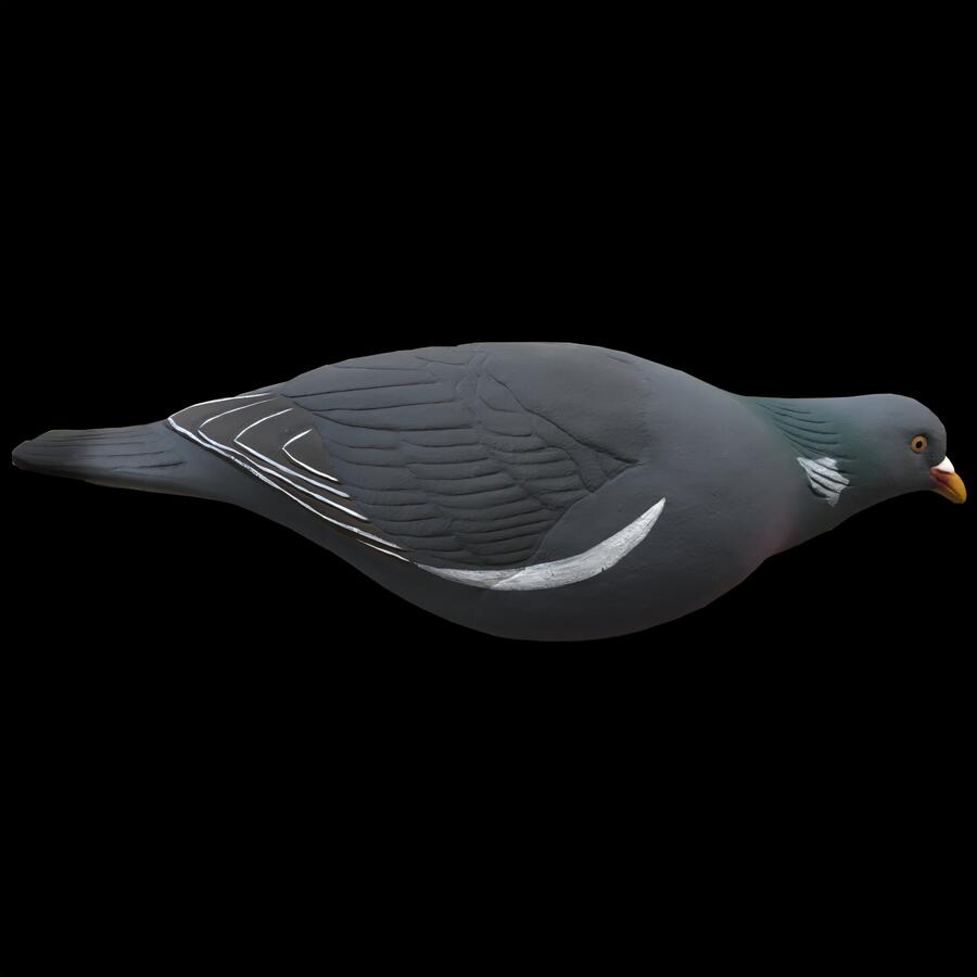 Stampi Colombaccio in HD a Corpo Intero – Set 10 Pezzi (6 Attivi + 4 in Pastura) con Paletti 45 cm, Realistici e Resistenti, prezzo confezione da 10 pezzi