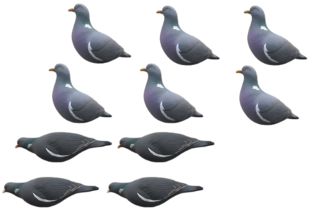 Stampi Colombaccio in HD a Corpo Intero – Set 10 Pezzi (6 Attivi + 4 in Pastura) con Paletti 45 cm, Realistici e Resistenti, prezzo confezione da 10 pezzi