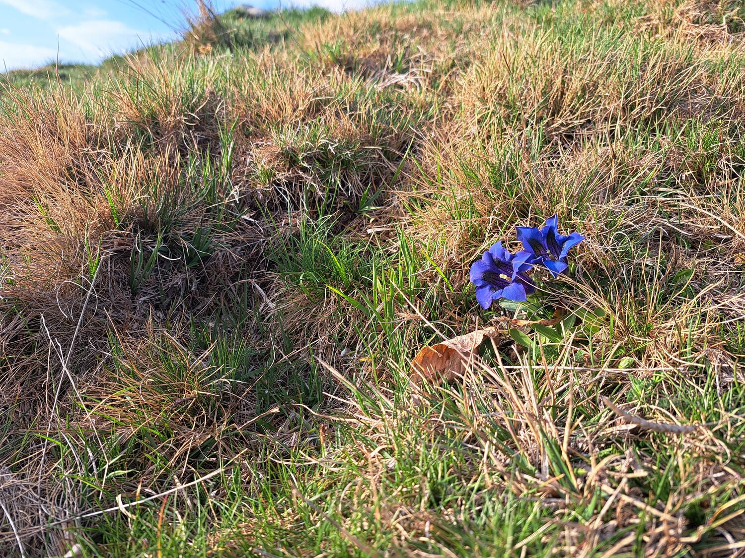 ESCURSIONE POMERIDIANA E TRAMONTO IN VETTA, CENA IN RIFUGIO - su richiesta
