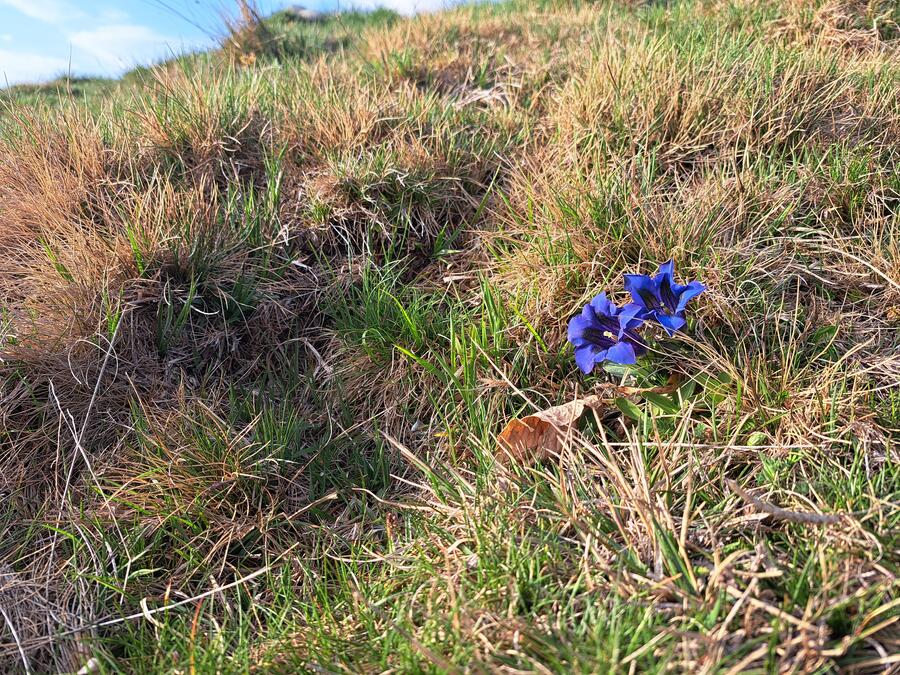ESCURSIONE POMERIDIANA E TRAMONTO IN VETTA, CENA IN RIFUGIO - su richiesta