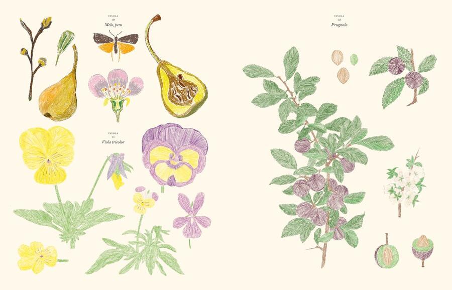 Il giardino. Adesivi e tavole da colorare