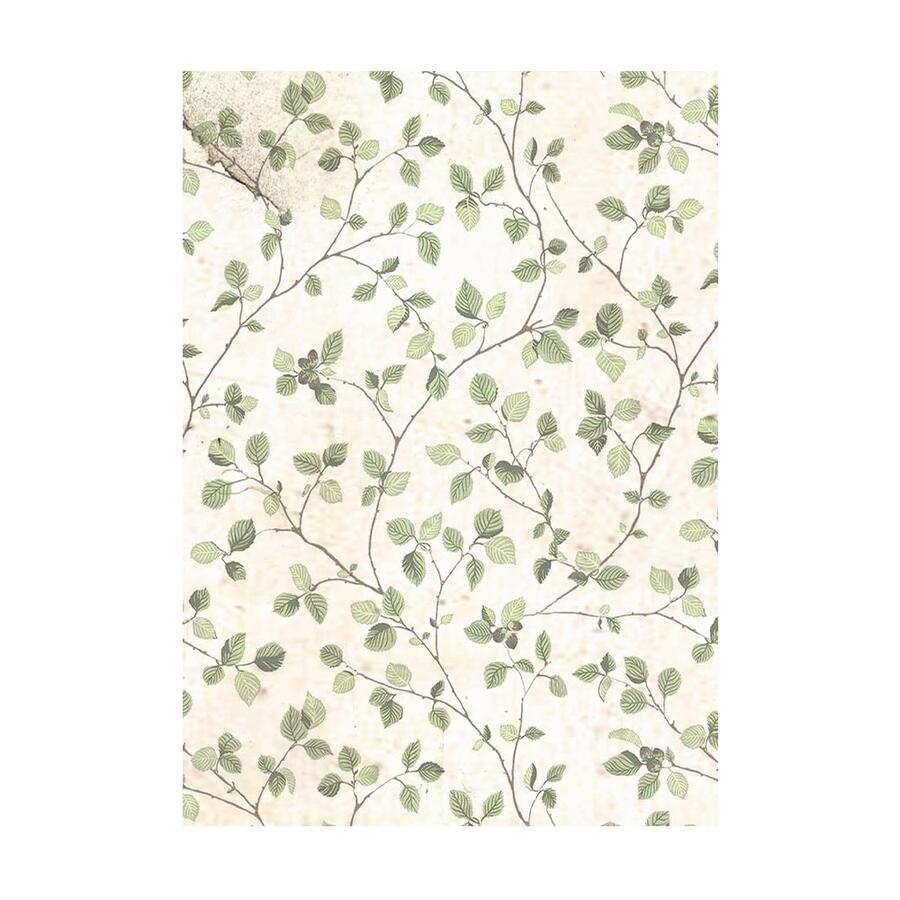 Selezione 8 Carta di riso Fto A6 Backgrounds House of Roses