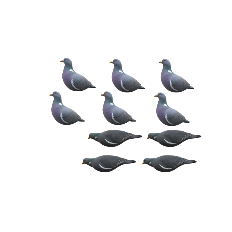 Stampi Colombaccio HD a Corpo Intero – Set da 5 o 10 Pezzi con Movimento Naturale