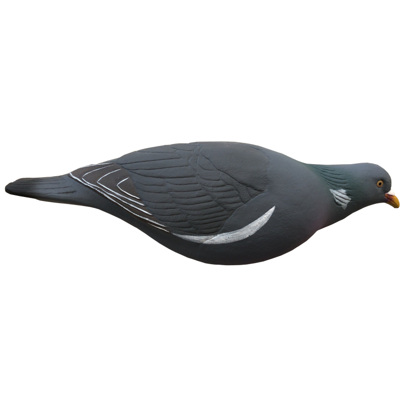 Stampi Colombaccio HD a Corpo Intero – Set da 5 o 10 Pezzi con Movimento Naturale