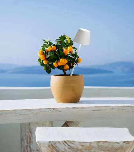 Lampada Ricaricabile Poldina Picchetto Ricaricabile Colore Bianco di Zafferano