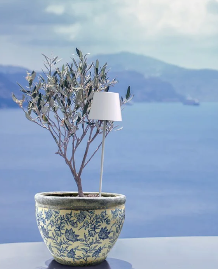 Lampada Ricaricabile Poldina Picchetto Ricaricabile Colore Bianco di Zafferano