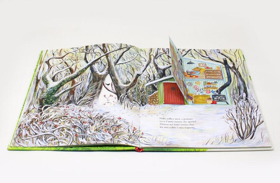 Il bosco di Topino. Un anno nella natura