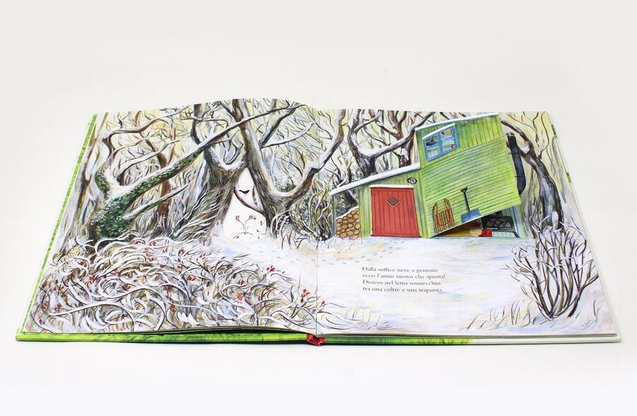 Il bosco di Topino. Un anno nella natura