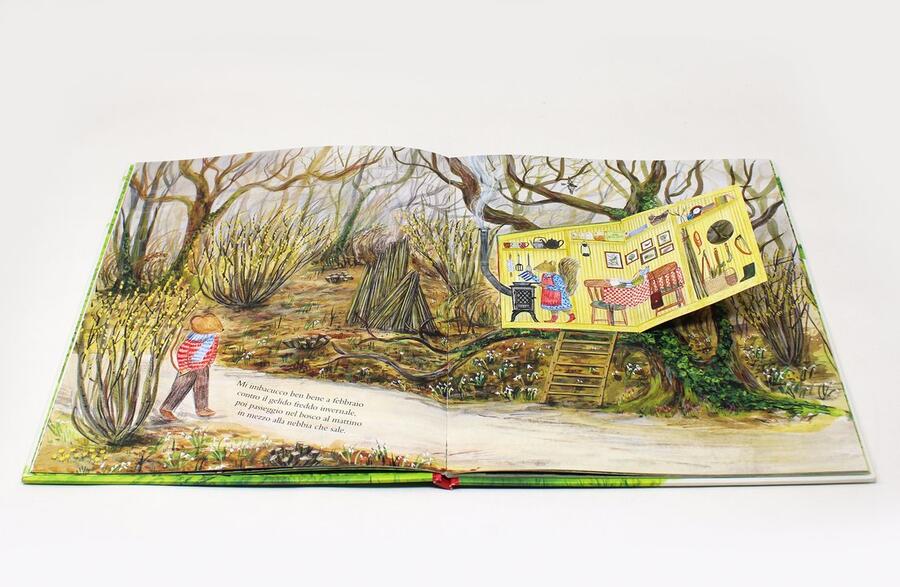 Il bosco di Topino. Un anno nella natura