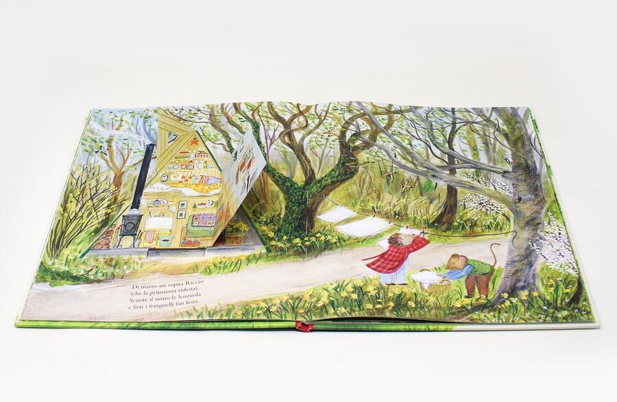 Il bosco di Topino. Un anno nella natura