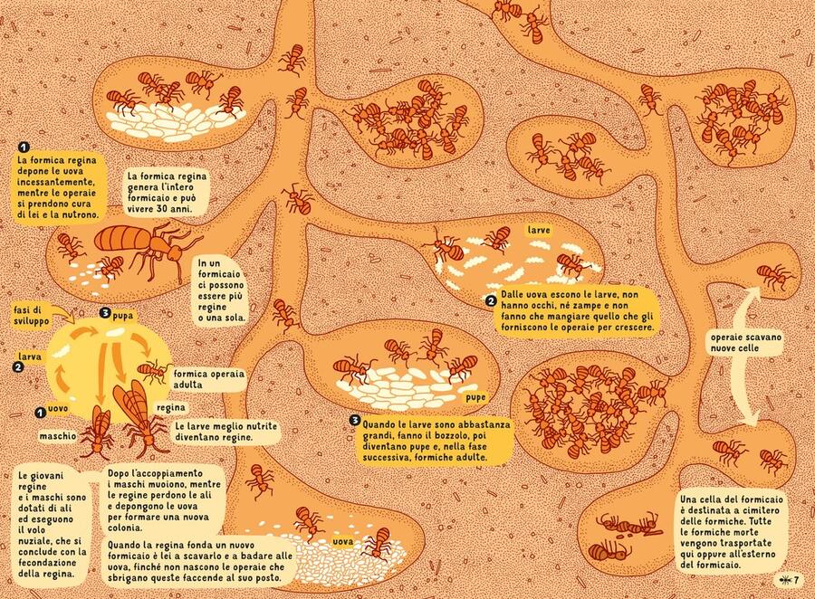 Sottacqua Sottoterra