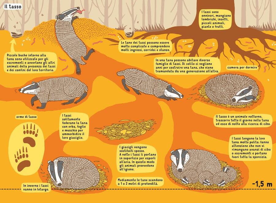 Sottacqua Sottoterra