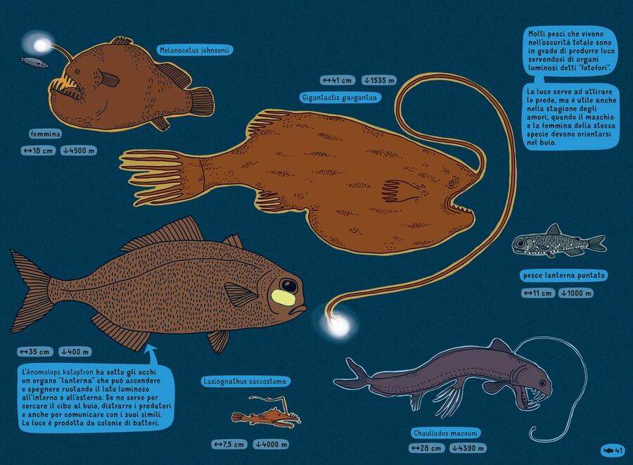 Sottacqua Sottoterra